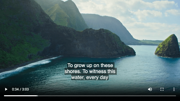 size equals 30% image.